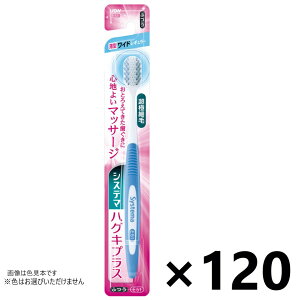 yzVXe} nOLvX nuV ChM[ ӂ 120{ CIF͂Iт܂B