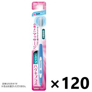 yzVXe} nOLvX nuV ChM[ 炩 120{ CIF͂Iт܂B