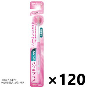 yzVXe} nOLvX nuV ChRpNg 炩 120{ CIF͂Iт܂B