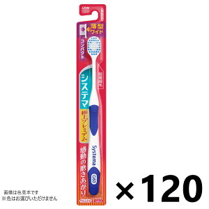 yzVXe} nuV ɏv~A RpNg 炩 120{ CIF͂Iт܂B