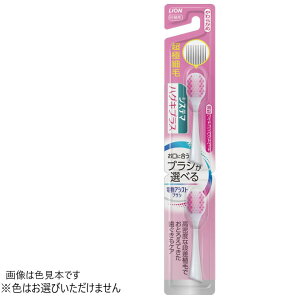 LIONdAVXguV tփuV VXe}nOLvX ɍז 炩 2{ CIF͂Iт܂B