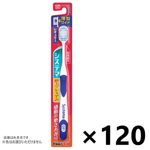 yzVXe} nuV ɏv~A M[ ӂ 120{ CIF͂Iт܂B