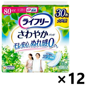 yzCt[ ₩pbh S̒ʗp 80cc 23cm 30x12pbN jE`[