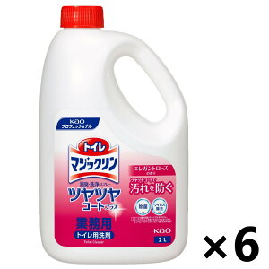 yzƖpgC}WbN LEXv[ ccR[gvX GKg[Y̍ 2Lx6{ ԉvtFbVi