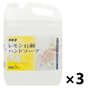 yzƖpΌnh\[v 5kgx3{ JlΌ