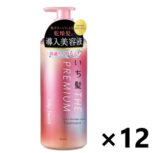 yz THE PREMIUM GNXg_[WPAg[gg (VL[X[X) |v 480gx12{ NVG