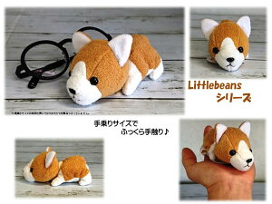 LittleBeans コーギー