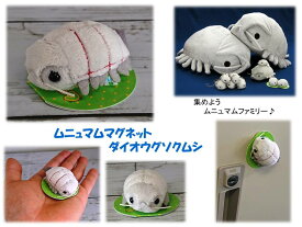 楽天市場 グソクムシ マグネットの通販