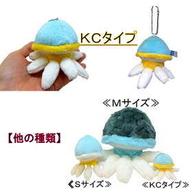 ブルージェリーフィッシュ(KC)