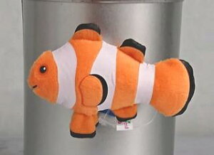 yTropicalFish(}Olbg)zN}m~