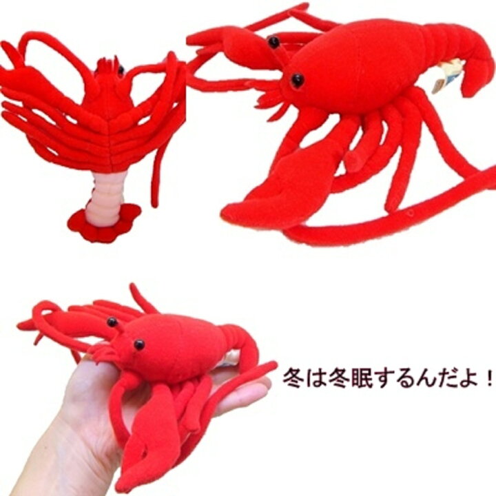 楽天市場 アメリカザリガニ ｙｙ ｓｈｏｐ ぬいぐるみ専門店