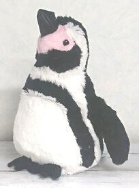 海のともだちmar フンボルトペンギン