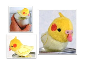 cocorita@IJCR(}Olbg)