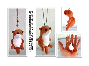 DimpleiXgbvEL[`F[jJE\