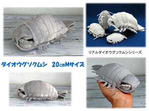 _CIEO\NViMj