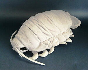 ダイオウグソクムシ(特大)