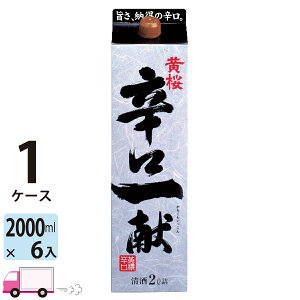 yꕔn揜z  hꌣ 2000ml 6{ 1P[X