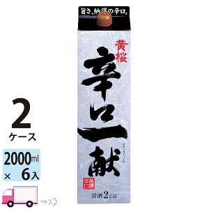 yꕔn揜z  hꌣ 2000ml 12{ 2P[X