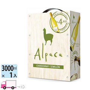 �y�����������ꕔ�n�揜���z BOX���C�� �T���^�E�w���i�E�A���p�J�E�V�����h�l�E�Z�~���� �����C�� 3000ml 1�{