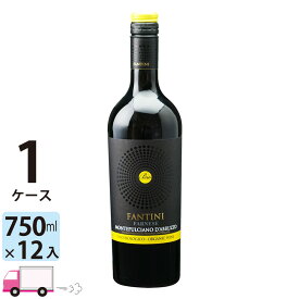 【ポイント5倍】【送料無料】 ファンティーニ モンテプルチャーノ ダブルッツォ ビオ [I611] 1ケース(12本)