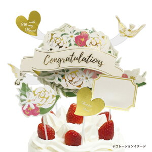 TOPPER CARD gbp[J[h t[ P[Lgbp[ a p[eB[  t fR[V 킢  AW o[Xf[tHg [M 10/25]  