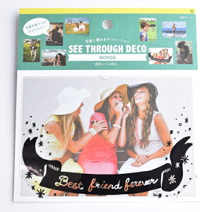 SEE-THROUGH DECOiV[X[ fRj [YiBKj v[g Mtg 蕨 AW XNbvubLO XNbvubN 킢  y[p[ ~jAo ޗ [M 2/25] 