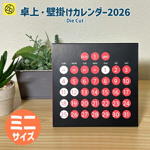 y2026N J_[z_CJbg~j Ǌ|   킢 fUC p  gC Vv ̑ Ɩp ii [bgAhPC [M 6/25]