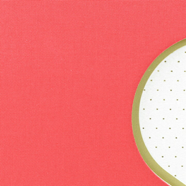 楽天市場 ギフトフレームアルバム カラーテキスタイル デミサイズ アルバム 写真 フォトアルバム かわいい 誕生日 デザイン おしゃれ フリー台紙 手作り エコー写真 デコレーション 誕生日 整理 ゼットアンドケイ プレゼント ギフト 贈り物 アレンジ 巣ごもり おうち時間