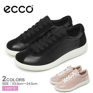 GR[ SOFT ZERO ECCO Xj[J[ fB[X ubN  sN 220253 C V[Y U[Xj[J[ ʋ ʊw [Jbg  uh EH[LO ₷ RC [XAbv U