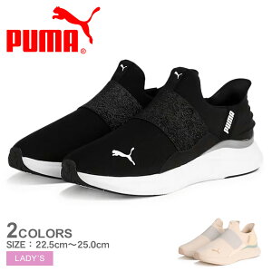v[} \tgCh n[j[ C[YC GL PUMA jOV[Y fB[X ubN  sN 311999 C uh Xb| XbvI V[ JWA S |Cg