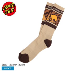 【店内全品★P5倍！】サンタクルーズ 靴下 メンズ SANTACRUZ VISTA STRIP SOCKS CREW ブランド カジュアル スニーカーソックス シンプル カジュアル 保温 防寒 ブラウン ベージュ 44643356