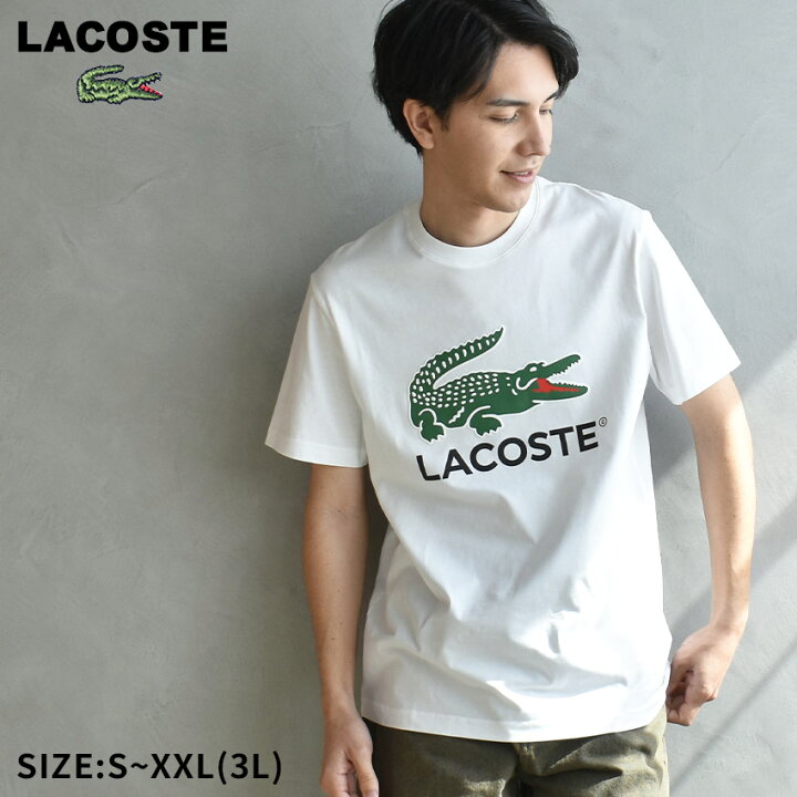 楽天市場】ラコステ 半袖Tシャツ LACOSTE COTTON JERSEY SIGN PRINT 