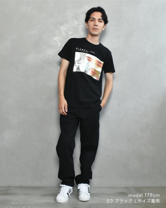 楽天市場】ディーゼル 半袖Tシャツ DIESEL T-DIEGOR-G2 メンズ  