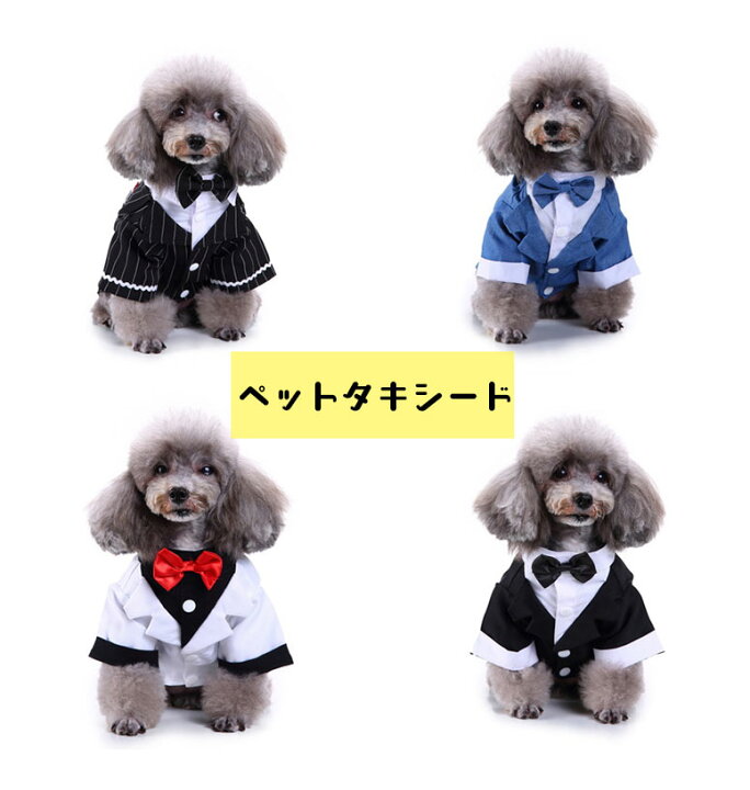 楽天市場 クーポン利用で Off 犬服 タキシード 結婚式 ドッグウェア 小型犬 紺スーツ 中型犬 結婚式 ストライプ 蝶ネクタイ 新郎 リボン S Lサイズ 愛犬 オス ウェディング 服 誕生日 イベント お祝い 記念パーティー 制服 フォーマル 和装 神前式 デイリー