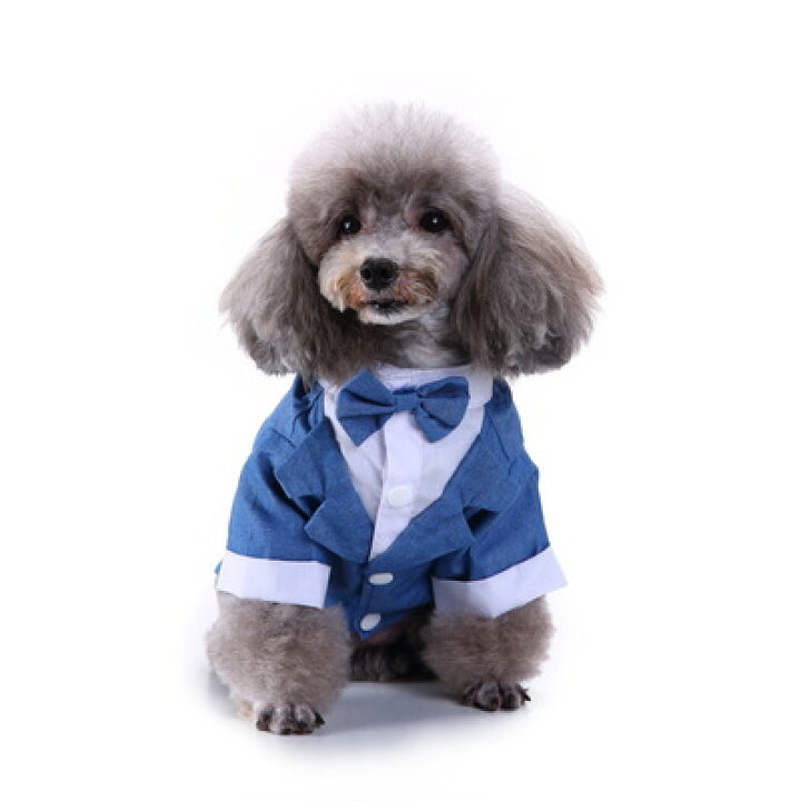 楽天市場】犬服 タキシード 結婚式 ドッグウェア 小型犬 紺スーツ 中型犬 結婚式 ストライプ 蝶ネクタイ 新郎 リボン(S-Lサイズ)愛犬 オス ウェディング 服 誕生日 イベント お祝い 記念パーティー 制服 フォーマル 和装 神前式 : デイリーザッカセブンストアーズ 楽天市場】犬服 タキシード 結婚式 ドッグウェア 小型犬 紺スーツ 中型犬 結婚式 ストライプ 蝶ネクタイ 新郎 リボン(S-Lサイズ)愛犬 オス ウェディング 服 誕生日 イベント お祝い 記念パーティー 制服 フォーマル 和装 神前式 : デイリーザッカセブンストアーズ