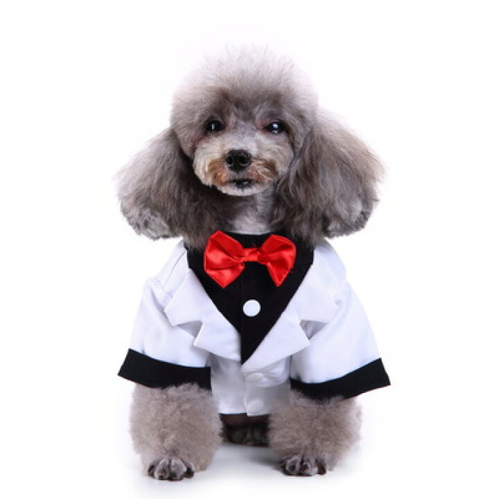 楽天市場】犬服 タキシード 結婚式 ドッグウェア 小型犬 紺スーツ 中型犬 結婚式 ストライプ 蝶ネクタイ 新郎 リボン(S-Lサイズ)愛犬 オス ウェディング 服 誕生日 イベント お祝い 記念パーティー 制服 フォーマル 和装 神前式 : デイリーザッカセブンストアーズ 楽天市場】犬服 タキシード 結婚式 ドッグウェア 小型犬 紺スーツ 中型犬 結婚式 ストライプ 蝶ネクタイ 新郎 リボン(S-Lサイズ)愛犬 オス ウェディング 服 誕生日 イベント お祝い 記念パーティー 制服 フォーマル 和装 神前式 : デイリーザッカセブンストアーズ