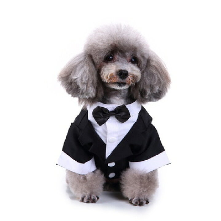 高品質の激安 犬 タキシード 結婚式 小型犬 ペット服 猫服 フォームスーツ ジャケット コート 披露宴 パーティー ドッグウェア ペット洋服 男の子 記念日 お祝い 春夏秋冬 Discoversvg Com