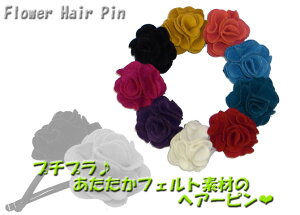 v`v􂠂tFgfނ́AԂ̃wA[sAWɃ|CgŉAt[wA[syZ-Loungez[1000~ȏ㑗Iz1~ȏ㑗I