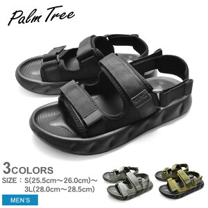 p[c[ T_ Y 2way X|[cT_ PALM TREE PT-312 y T_ X|T X|[cT_ Y T_  gAbv X^CAbv NbV  AE