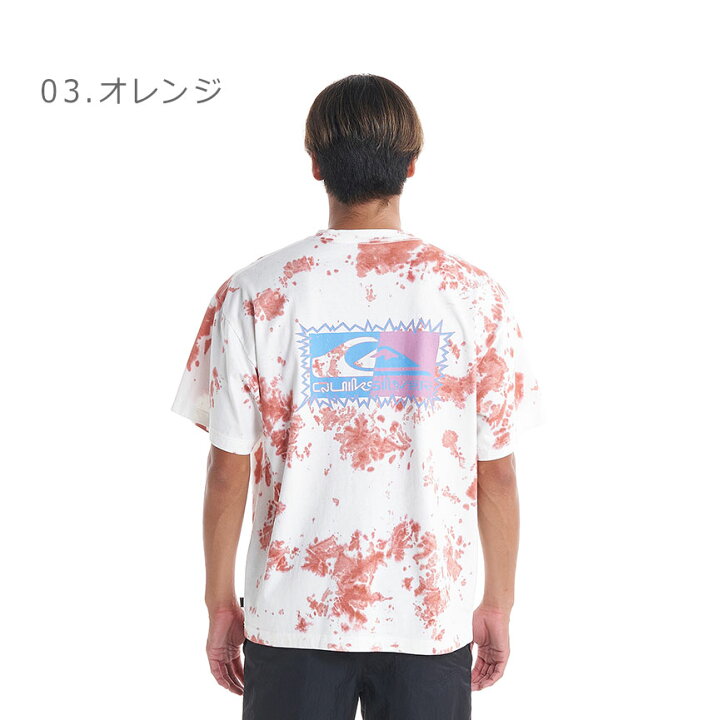 楽天市場】【ネコポス配送】クイックシルバー 半袖Tシャツ メンズ THE 