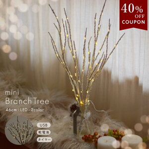 ySALEN[|40OFFzu`c[ 46cm  LEDCgt NX}Xc[ 2025V ~jc[ W[P k   ^C}[t i` CeA 