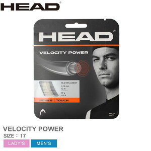 ylR|Xzzwbh XgOX Y fB[X VELOCITY MLT POWER (SET) HEAD 281613 d ejX dejX X|[c ^ uh  Kbg  ւ JX^  ZSPO x[W