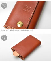 ����ӥ����ILBISONTE