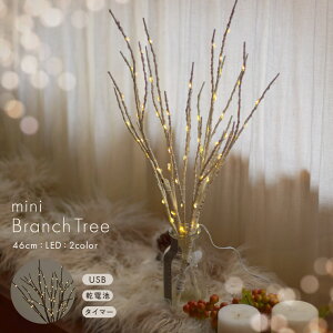 u`c[ 46cm  LEDCgt NX}Xc[ 2025V ~jc[ W[P k   ^C}[t i` CeA ȃXy[X ܂Ŗ{