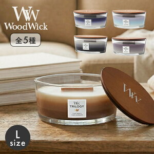 �E�b�h�E�B�b�N �A���}�L�����h�� �g�����W�[�n�[�X�E�B�b�N WOODWICK ELLIPSE TRILOGY HEARTHWICK �G�� �M�t�g �v���[���g ���蕨 ��40���� �A���} �C���e���A ���[���t���O�����X �t���O�����X ���� 