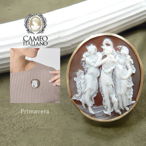 JIC^A[m u[` CAMEOITALIANO t -v}F[- fB[X S[h  zCg  080471 ig fC[ p[eB[ ł ANZT[ v[g Mtg 蕨 VF