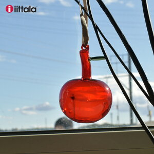 Cb^ I[ig KXAbv IITTALA 1055140 k G  AeB[N KX   CeA Vv NX}X c[ v[g 蕨  NA bh  O