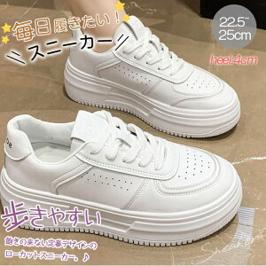 y500~OFFN[|tz Xj[J[ fB[X V[Y tH 4CMq[  Xj[J[ jOV[Y EH[LOV[Y ₷ Ȃ RtH[g r JWA