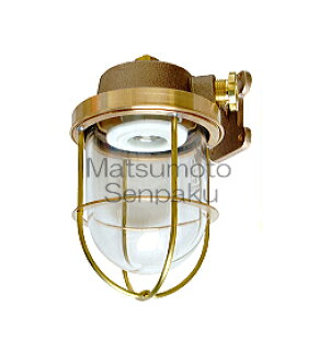 Gold outdoor lights