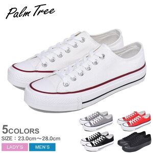 LoX Xj[J[ Y fB[X oJiCYh PALM TREE p[c[ VOLCANIZED SNEAKER PT-306 V[Y C [Jbg LoXV[Y   ubN  zCg  bh